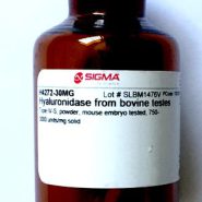 Sigma Hyaluronidase from bovine testes